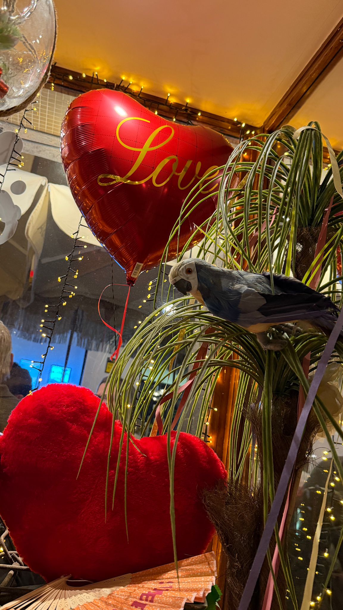 Momentos especiais no Coachella